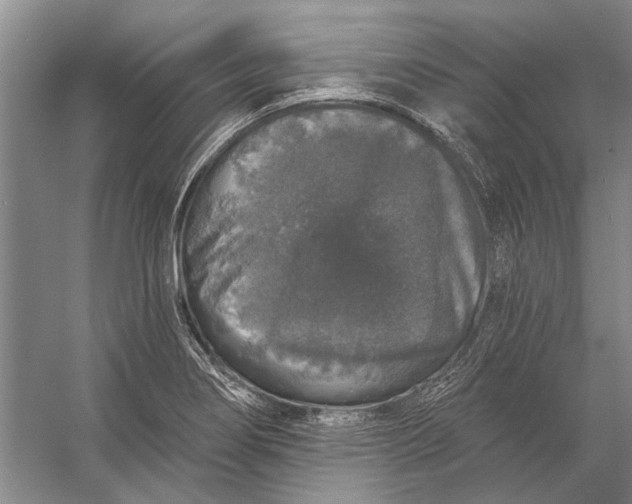 X0000056351274200509161752