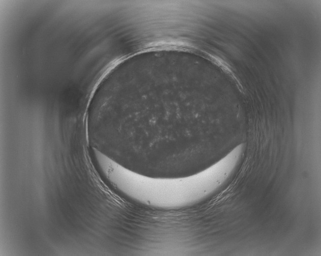 X0000056351275200509161752