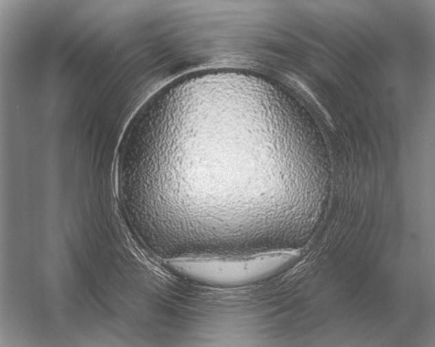 X0000056351276200509161752