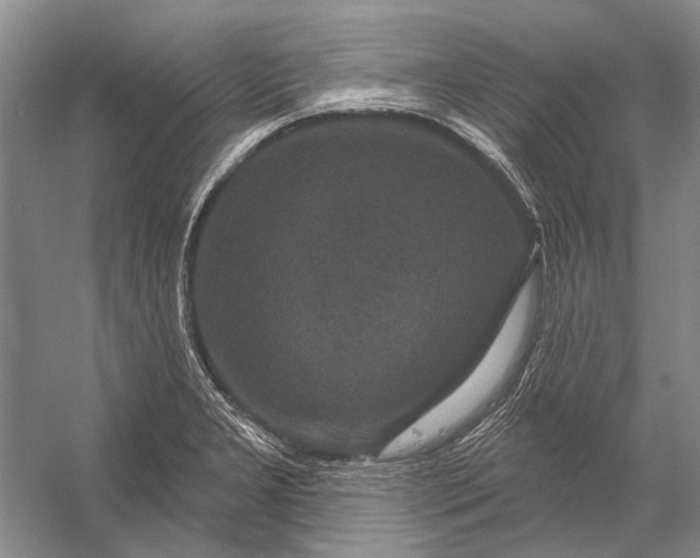 X0000056351277200509161752