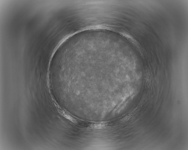 X0000056351278200509161752