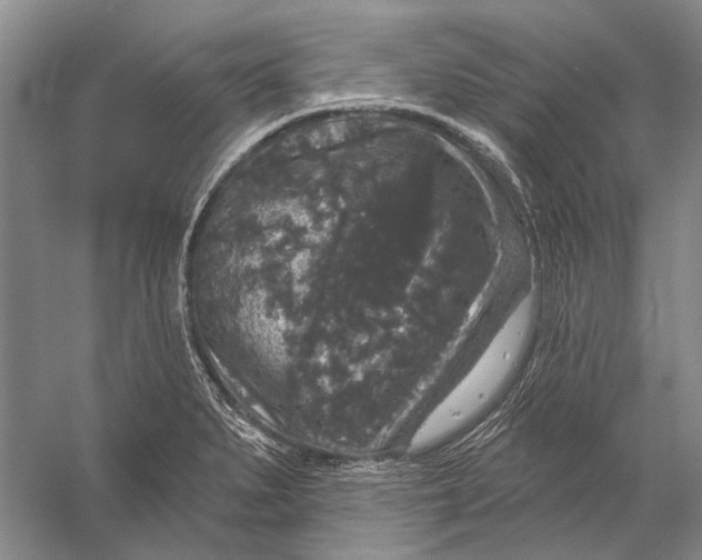 X0000056351279200509161752