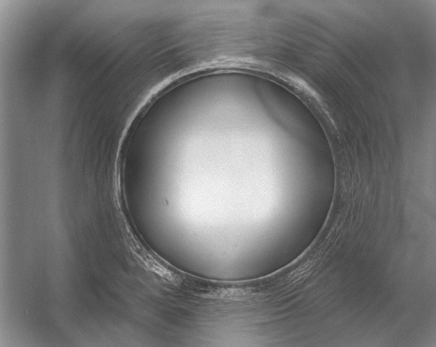 X0000056351280200509161752