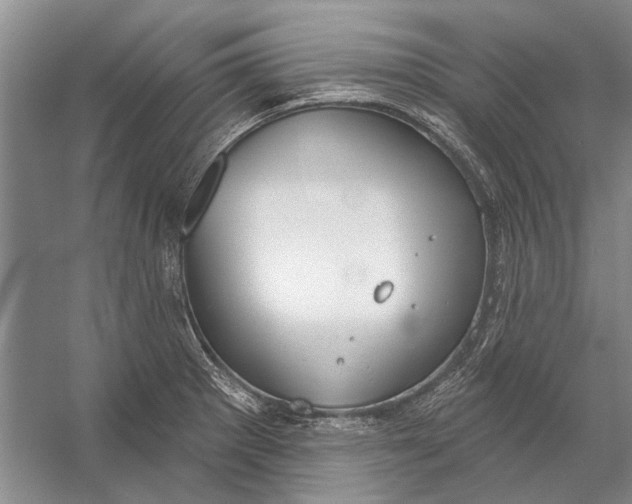 X0000056351281200509161752