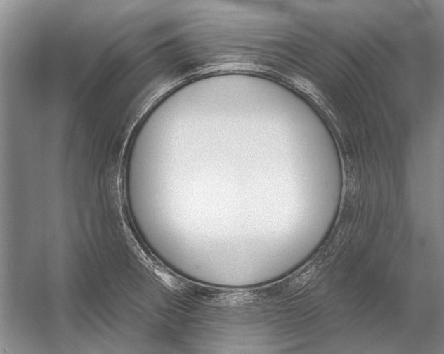 X0000056351282200509161752