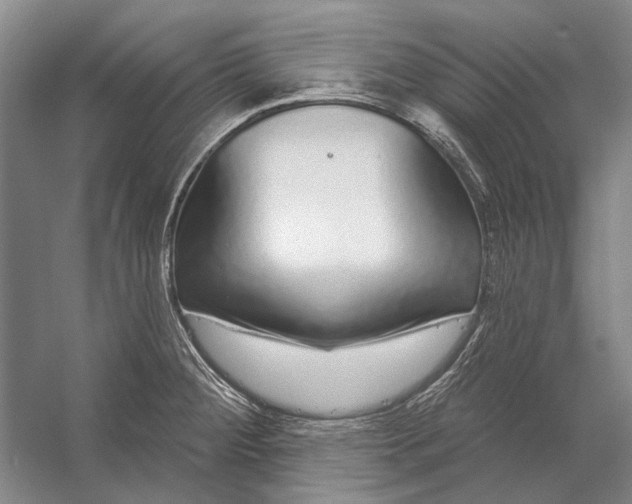 X0000056351284200509161752