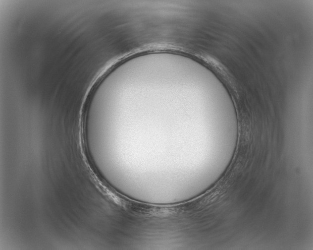 X0000056351286200509161752