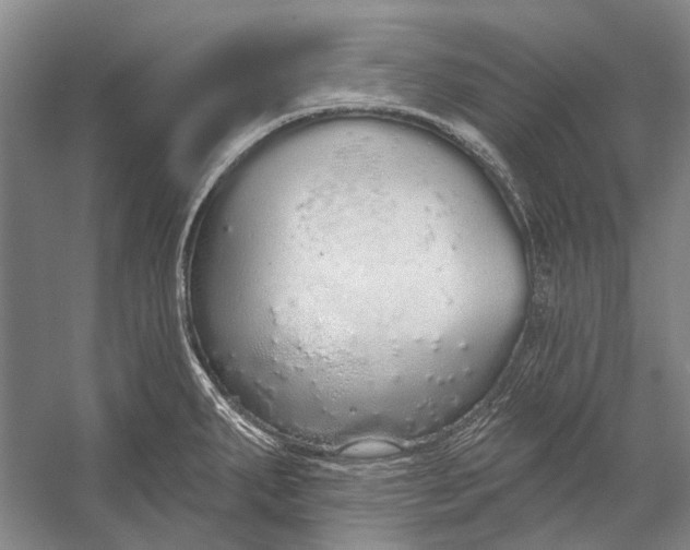 X0000056351287200509161752