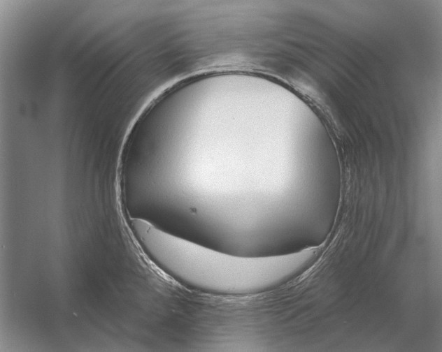 X0000056351288200509161752