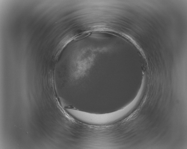 X0000056351289200509161752