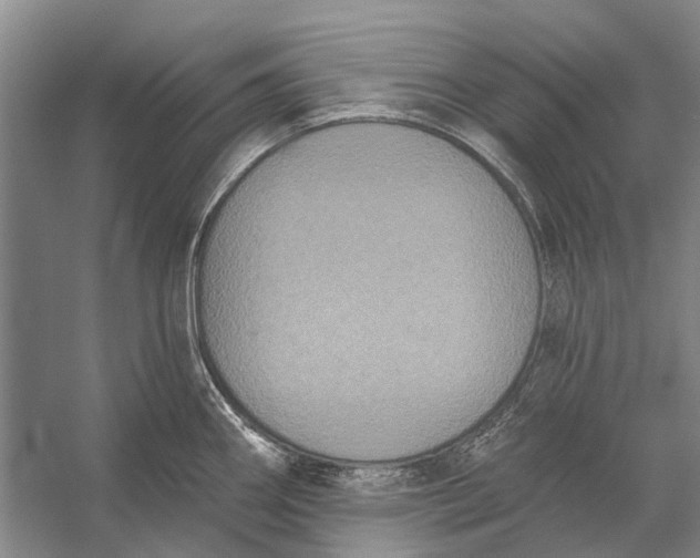 X0000056351290200509161752