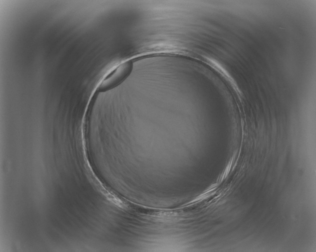 X0000056351291200509161752