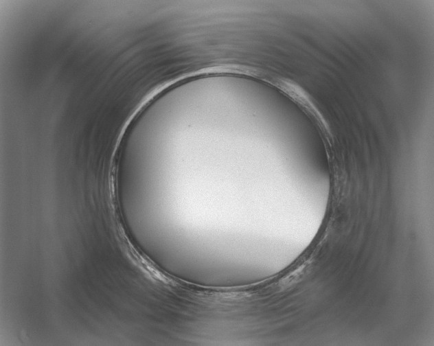 X0000056351292200509161752