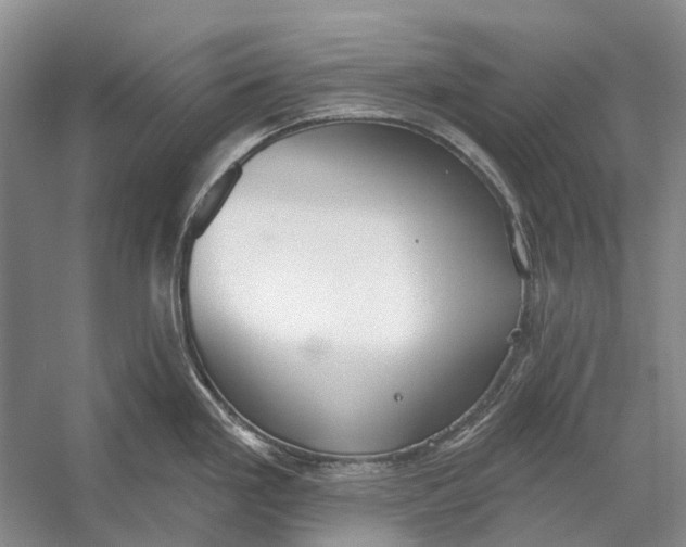 X0000056351293200509161752