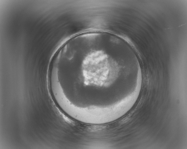 X0000056351294200509161752