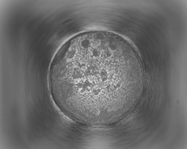 X0000056351295200509161752