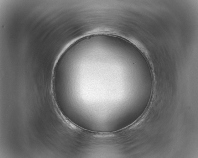 X0000056351296200509161752