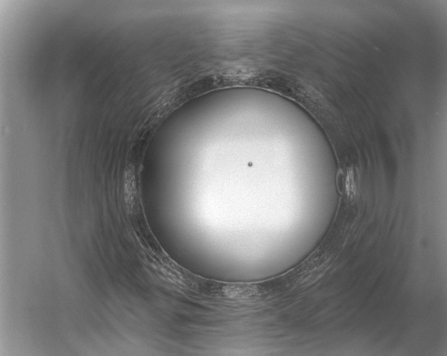 X0000056351299200509161751