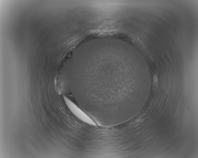 X0000056351300200509161751