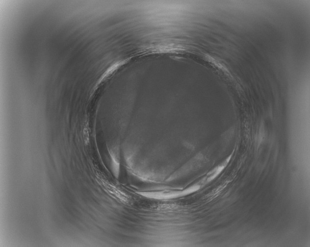 X0000056351306200509161751