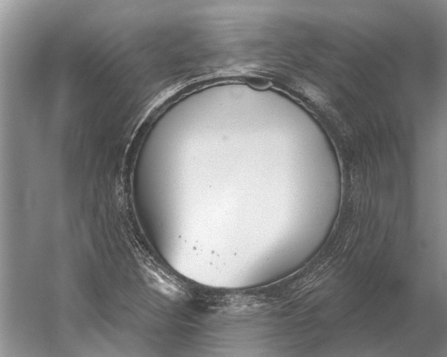 X0000056351308200509161751