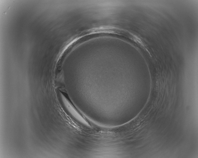 X0000056351312200509161751