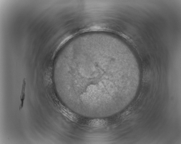 X0000056351314200509161751