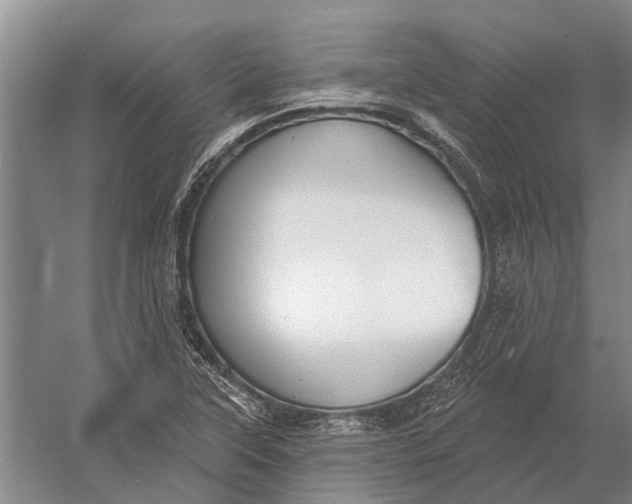 X0000056351315200509161751