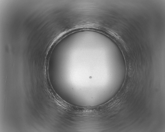 X0000056351316200509161751