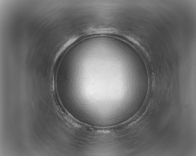 X0000056351317200509161751