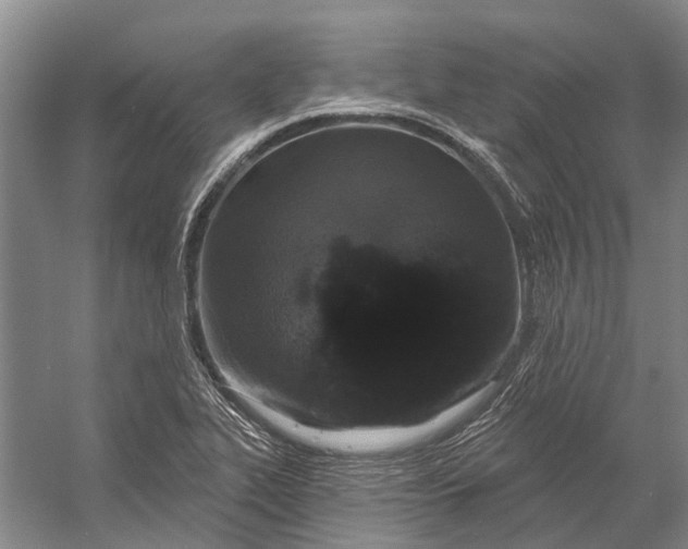 X0000056351319200509161751