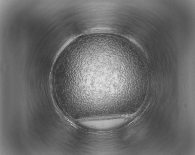 X0000056351325200509161752