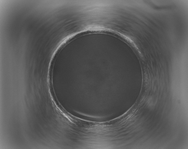 X0000056351327200509161752