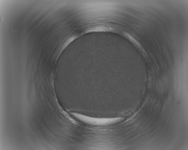 X0000056351329200509161752