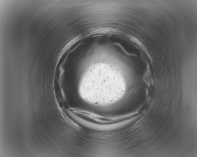 X0000056351330200509161752