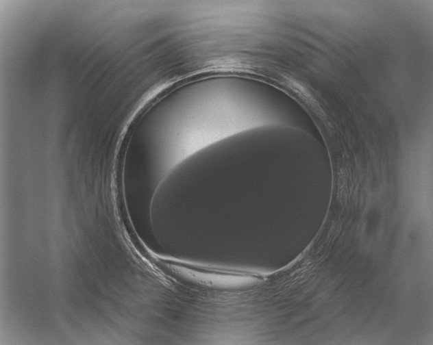 X0000056351331200509161752