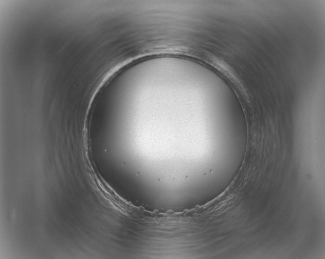 X0000056351332200509161752