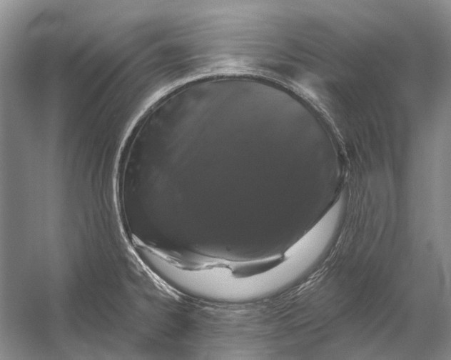 X0000056351334200509161752