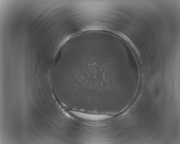 X0000056351337200509161752