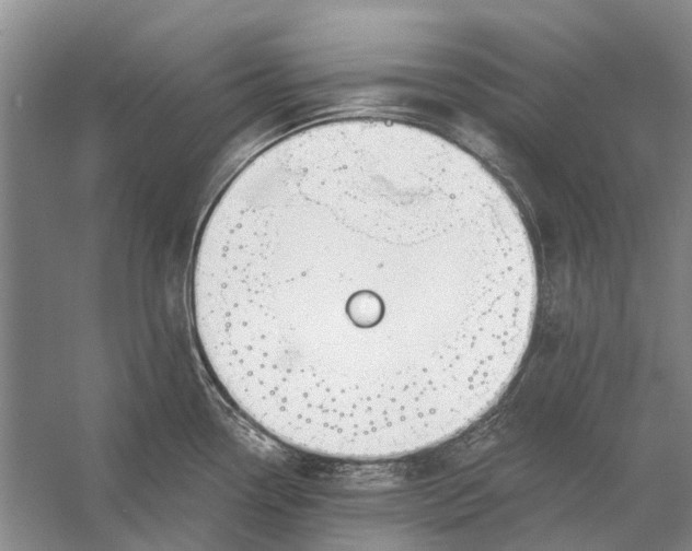 X0000056351338200509161752