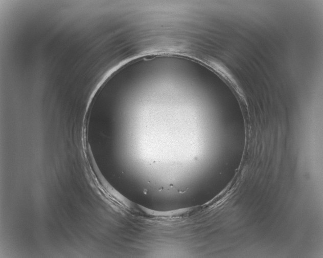 X0000056351340200509161752