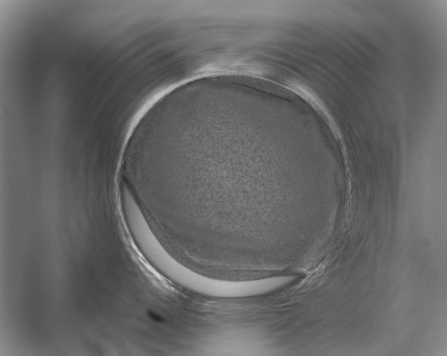 X0000056351344200509161752