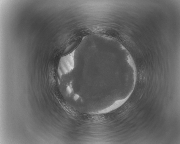 X0000056351346200509161751