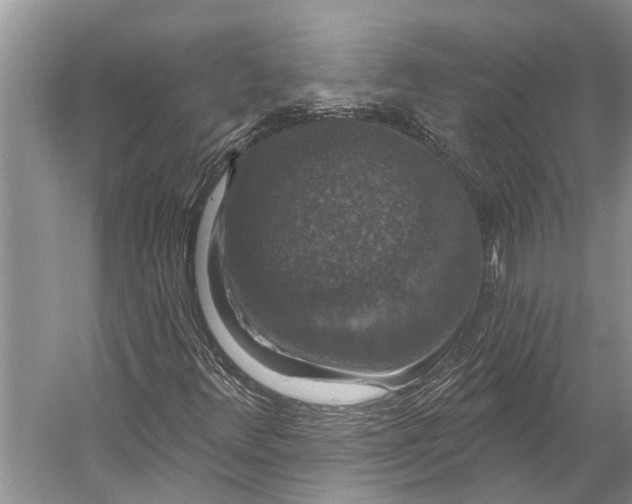 X0000056351348200509161751