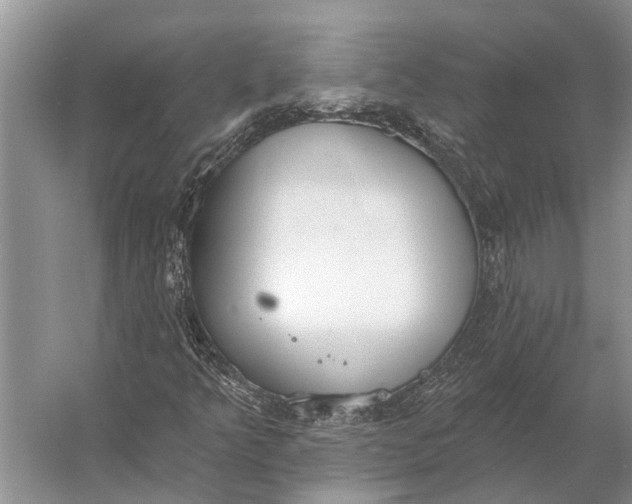 X0000056351349200509161751