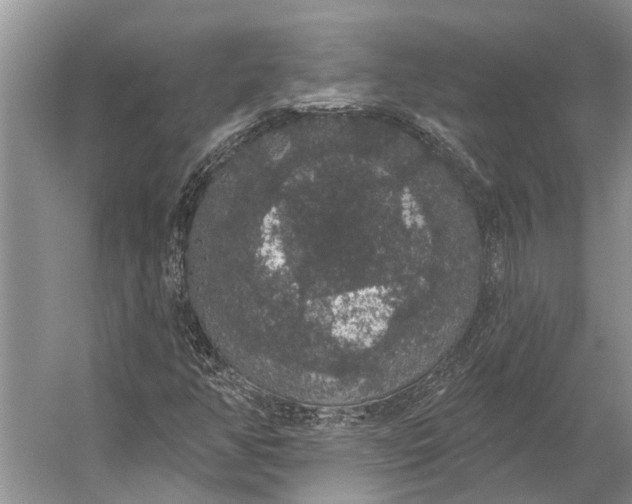 X0000056351350200509161751