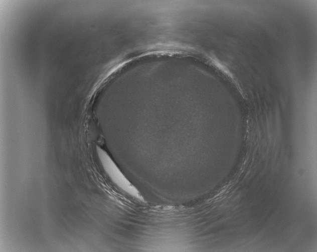 X0000056351352200509161751