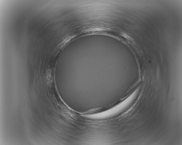 X0000056351353200509161751