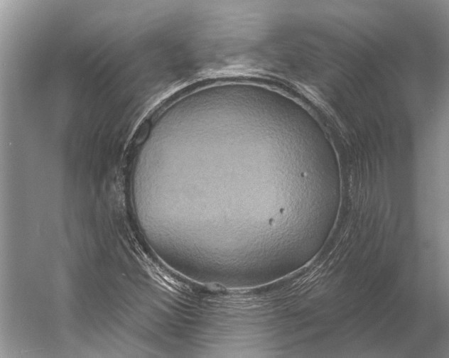 X0000056351356200509161751