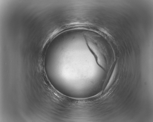 X0000056351357200509161751